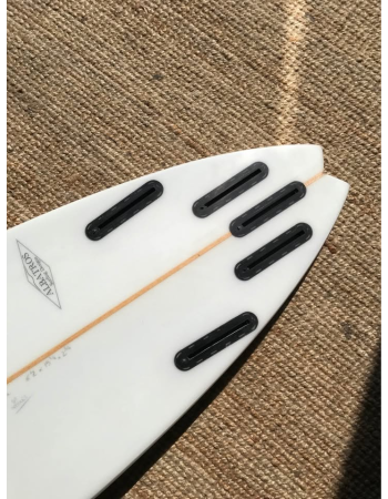 Albatros   6’2"