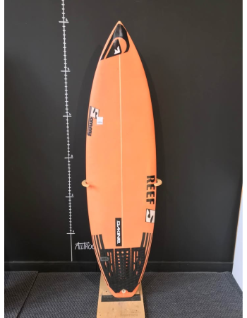 Sammy 5’11"