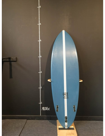 Chien ville  Gypsy 5’9"