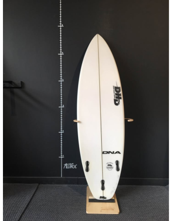DHD  DNA  5’11"