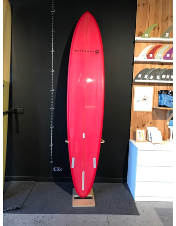 Waterman Spot Gun 2+1 9’2"