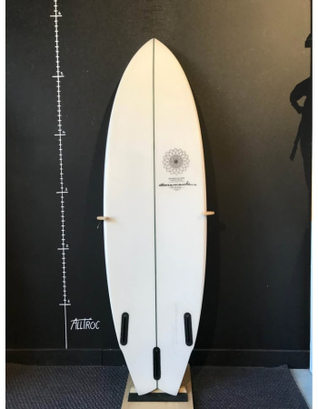 Boardculture  5’8"
