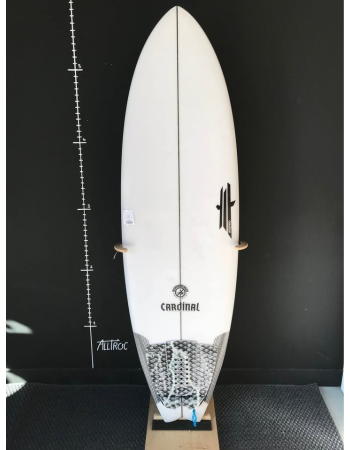 Cardinal 5’8"