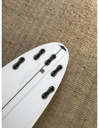 Chilli  Rare Bird 5’9"