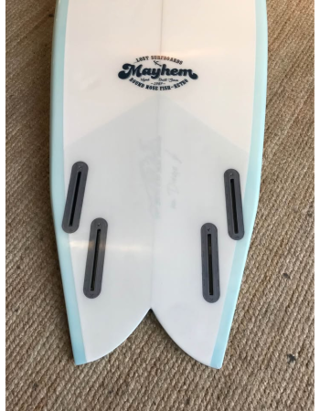 Mayhem Round nose fish...