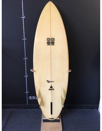 Campbell brother 40 years...