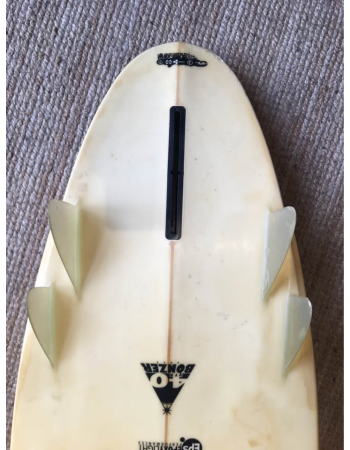 Campbell brother 40 years...