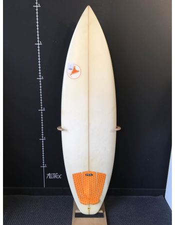 Labrador 5’11"