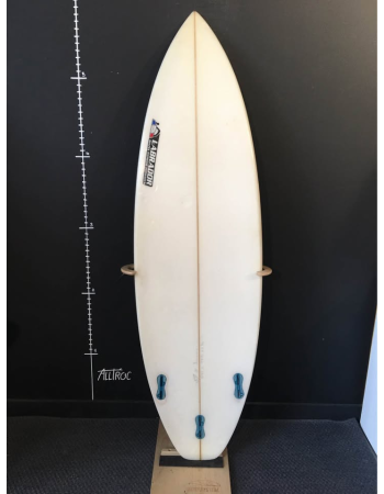 Labrador 5’11"