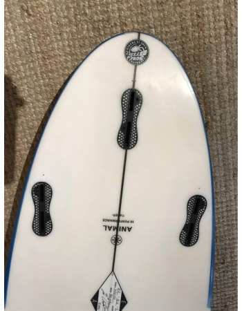 Arakawa  Animal 5’5"
