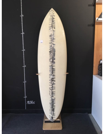Sel  6’4"