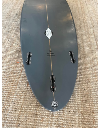 Arakawa  Animal 6’6"