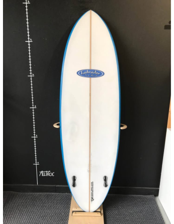 Labrador 5’11"