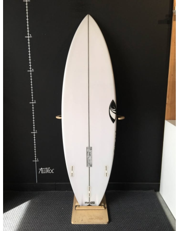 Sharp eye  Ht2.5  5’9"